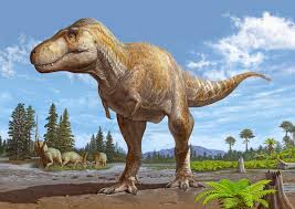 Animal 9